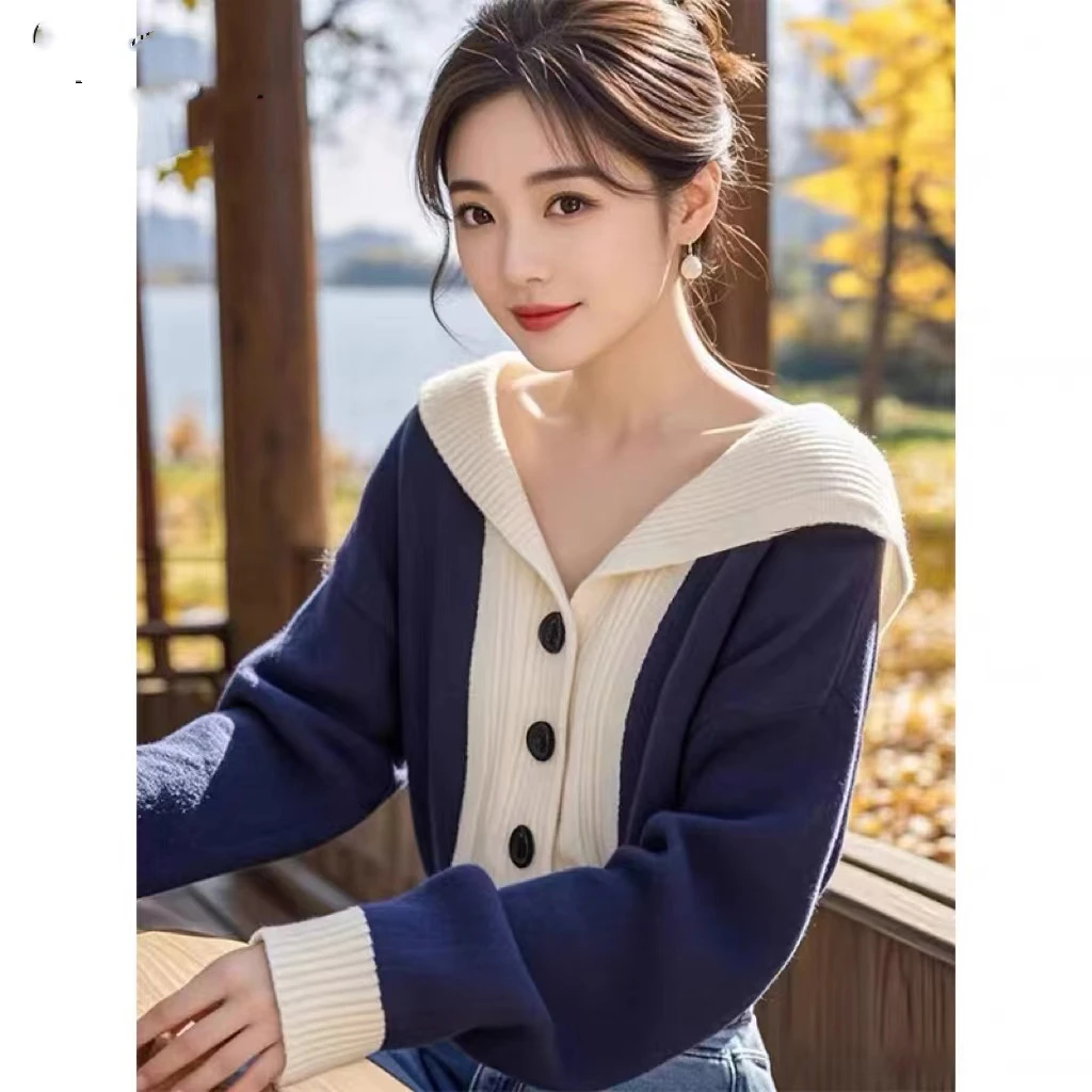 蓝色套头针织开衫女2024初秋穿搭上衣法式小香风奶气软糯长袖