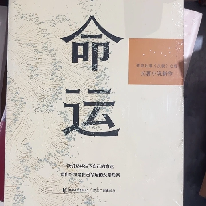 命运全新推荐平装