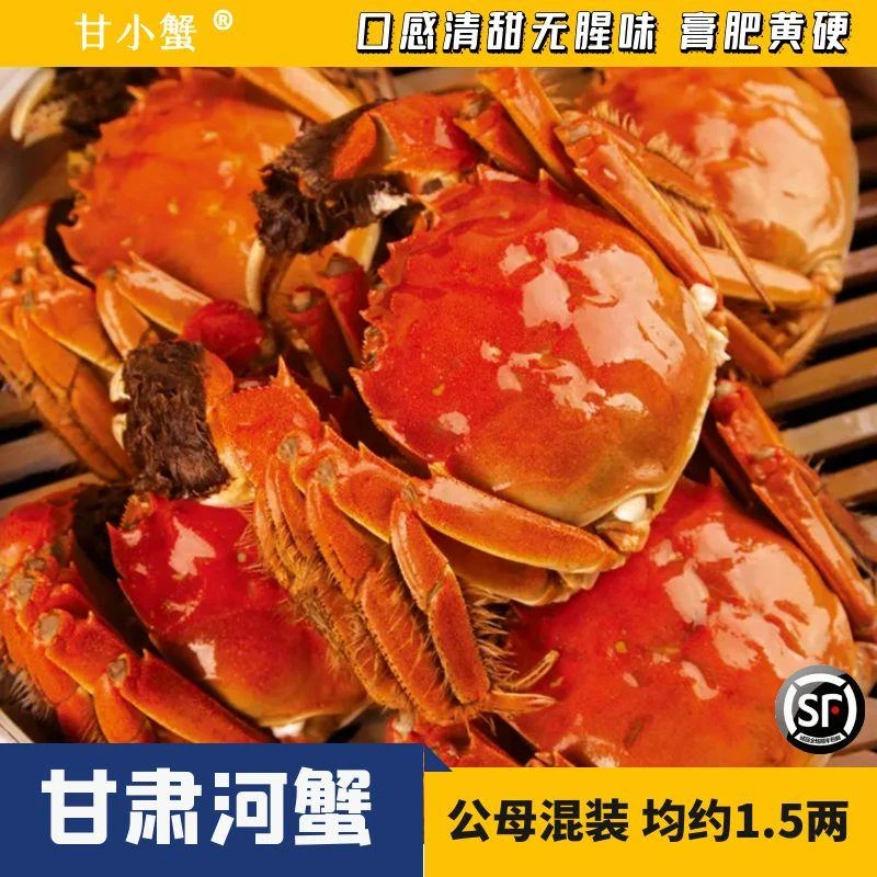 【甘肃螃蟹】活蟹公母混发均1.5两鲜甜3斤到手21只左右不捆绳顺丰发