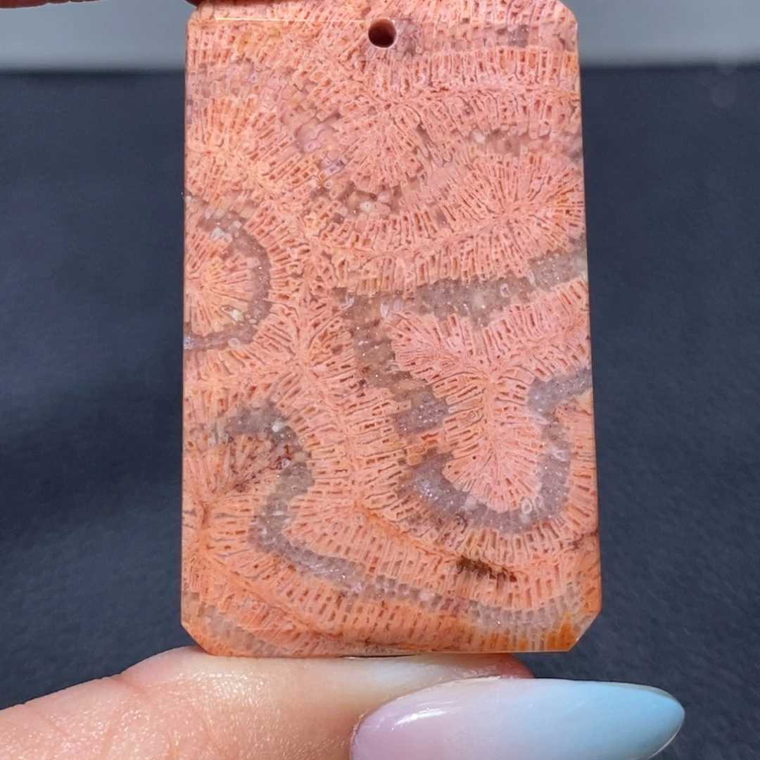 硅化珊瑚（珊瑚玉）颈饰合金2707