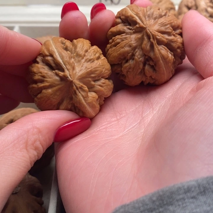 用***8霸王龙全品无修一刀没动