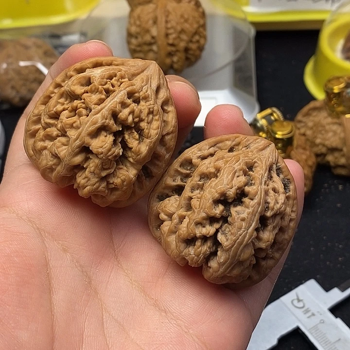 龙脊菩提吊坠大粗筋