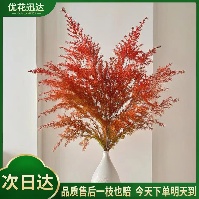 千层金红色鲜切花-京东物流今天下单明天送达-任意满两份包邮配送