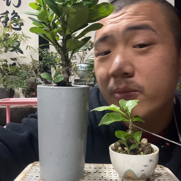 无花朵退款拉黑拉黑72