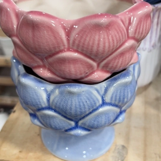 边播会边给你找盆的，耐心看几分钟谢谢，福袋先参与一下