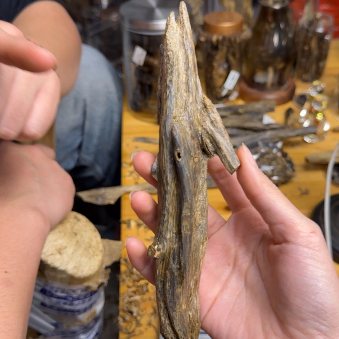 沉香沉香碎屑天然虫漏块料38克