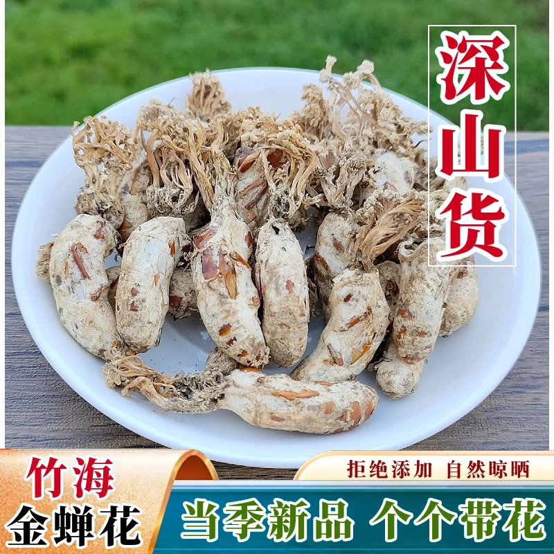 正宗金蝉花大别山竹海金禅花虫草深山野外生金婵花知了花煲汤药材