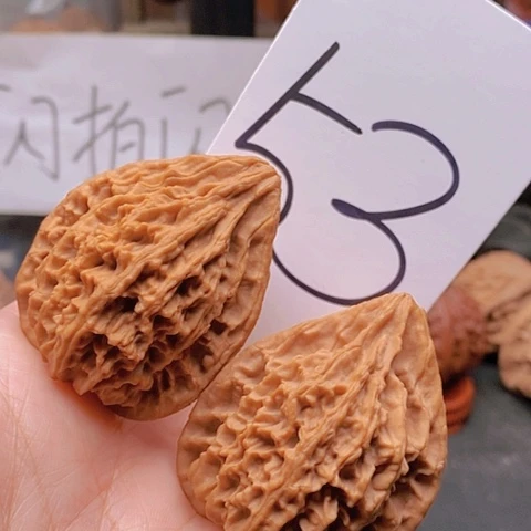 吊坠桃核40全品柳叶鸭嘴兽