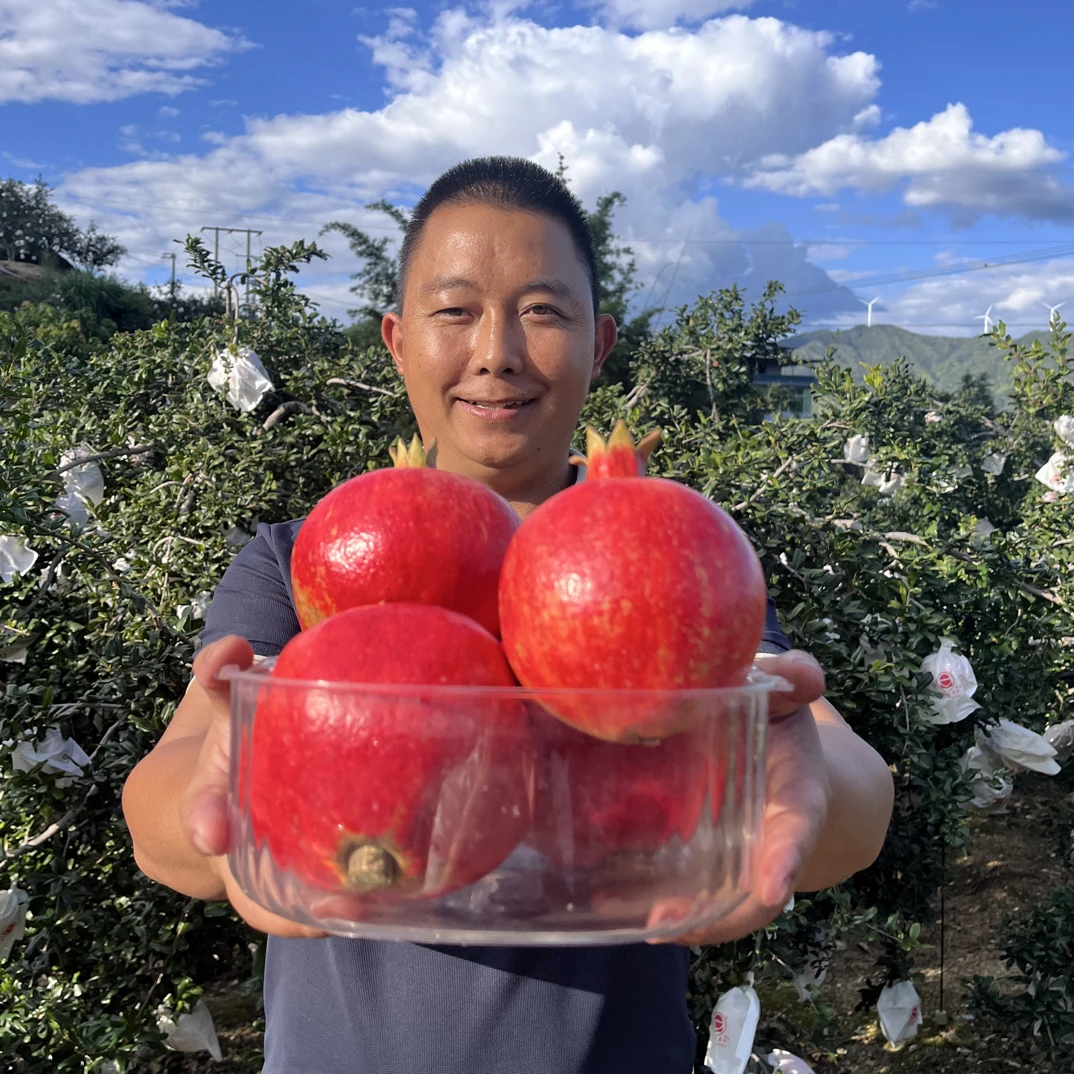 攀枝花软籽黑珍珠酸石榴新鲜孕妇水果泡酒酸石榴鸽血酸石榴爆酸