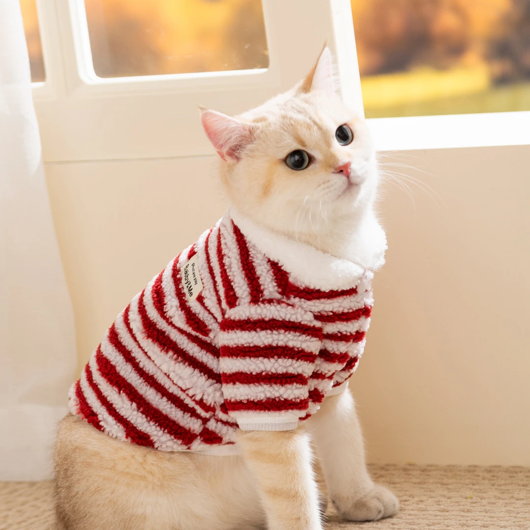 秋冬款猫咪衣服红色简约摇粒绒条纹两脚绒衣德文猫无毛猫宠物衣服