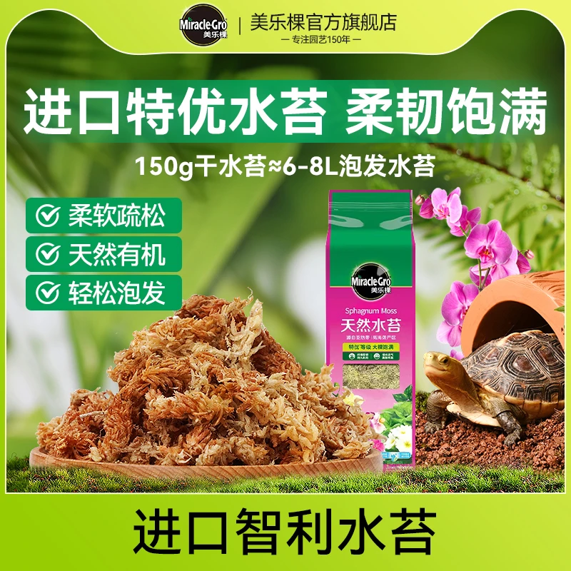 美乐棵智利毛毛虫水苔干苔藓文心兰石斛蝴蝶兰花专用土爬宠介质