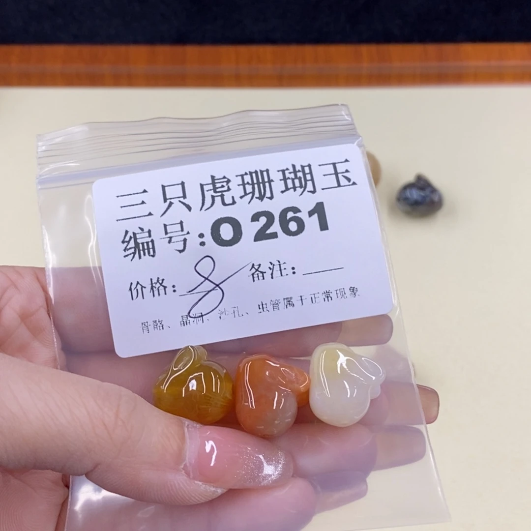 硅化珊瑚（珊瑚玉）未镶嵌1向****?