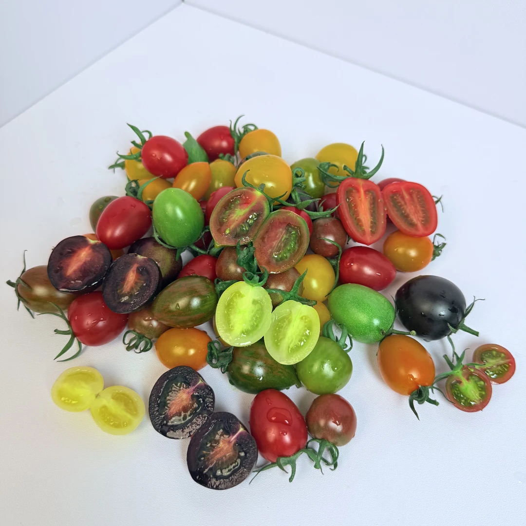 【山东直发】圣女果小番茄酸甜多汁爽口新鲜爆汁【顺丰/京东包邮】