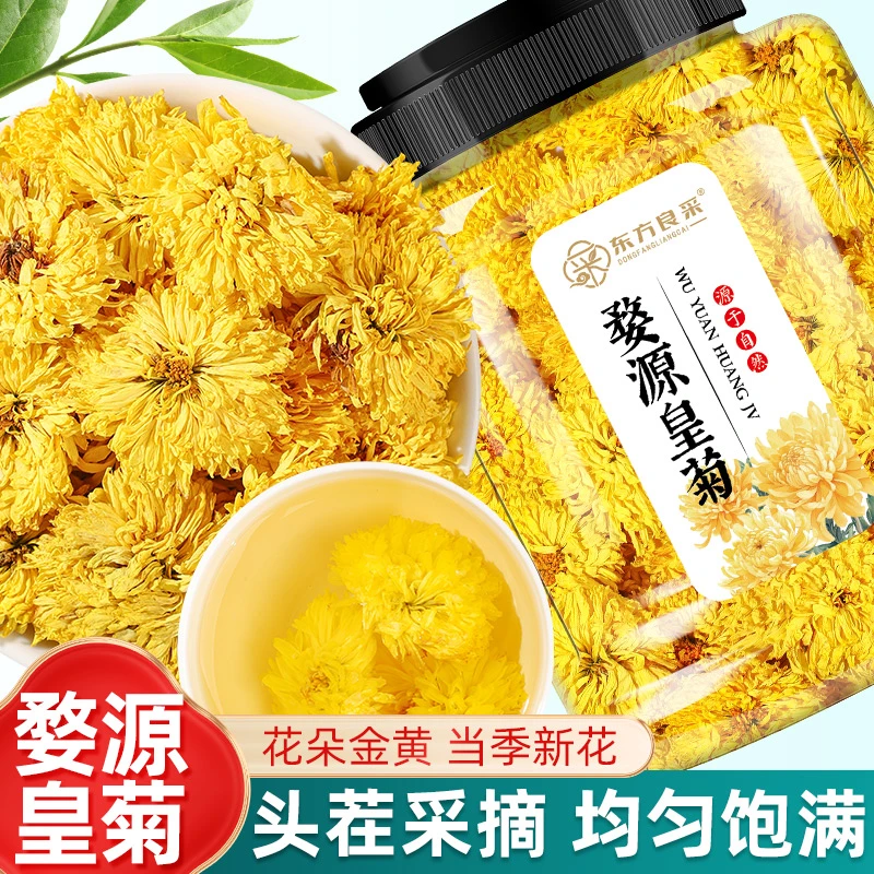 婺源皇菊菊花茶黄菊花头茬新花手工采摘徽州皇菊干净无杂泡水泡茶