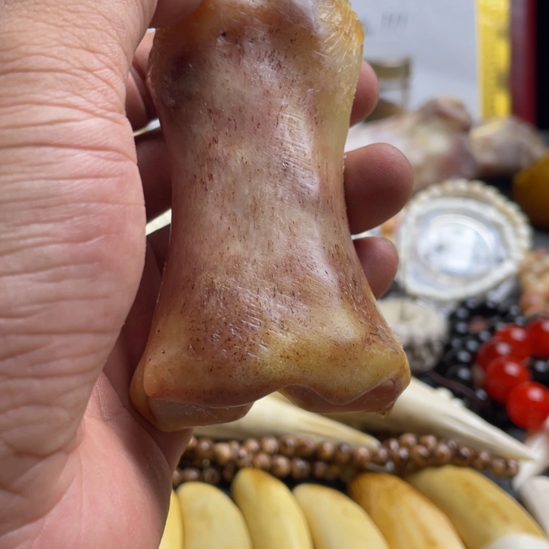 驼骨把件掌骨一个。