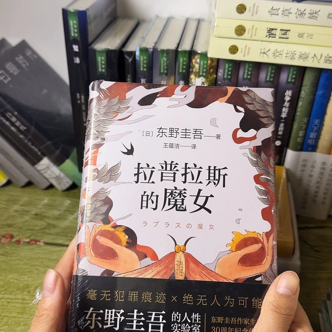 拉普拉斯的魔女闪购12