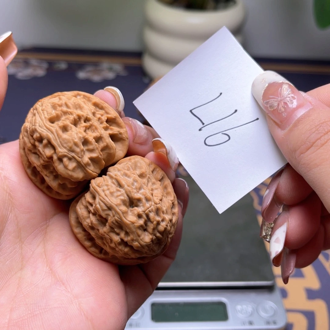 文玩核桃把件白狮子38