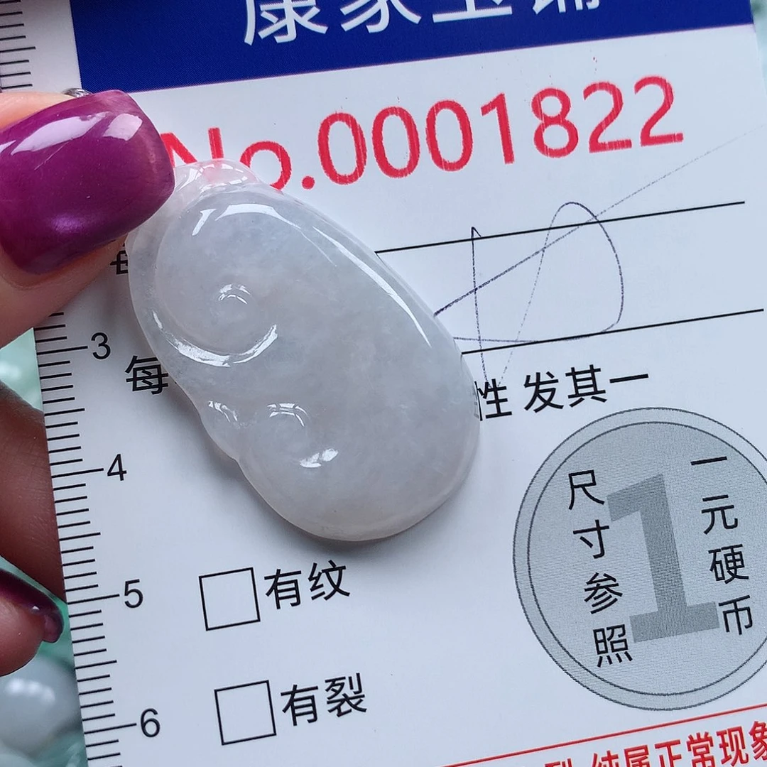 颈饰未镶嵌翡翠v