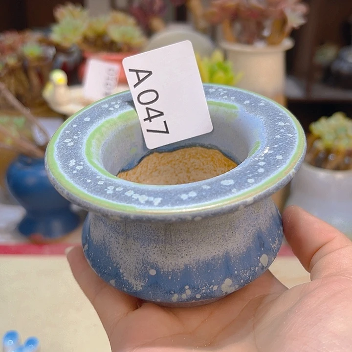 景德镇陶瓷研究所新*