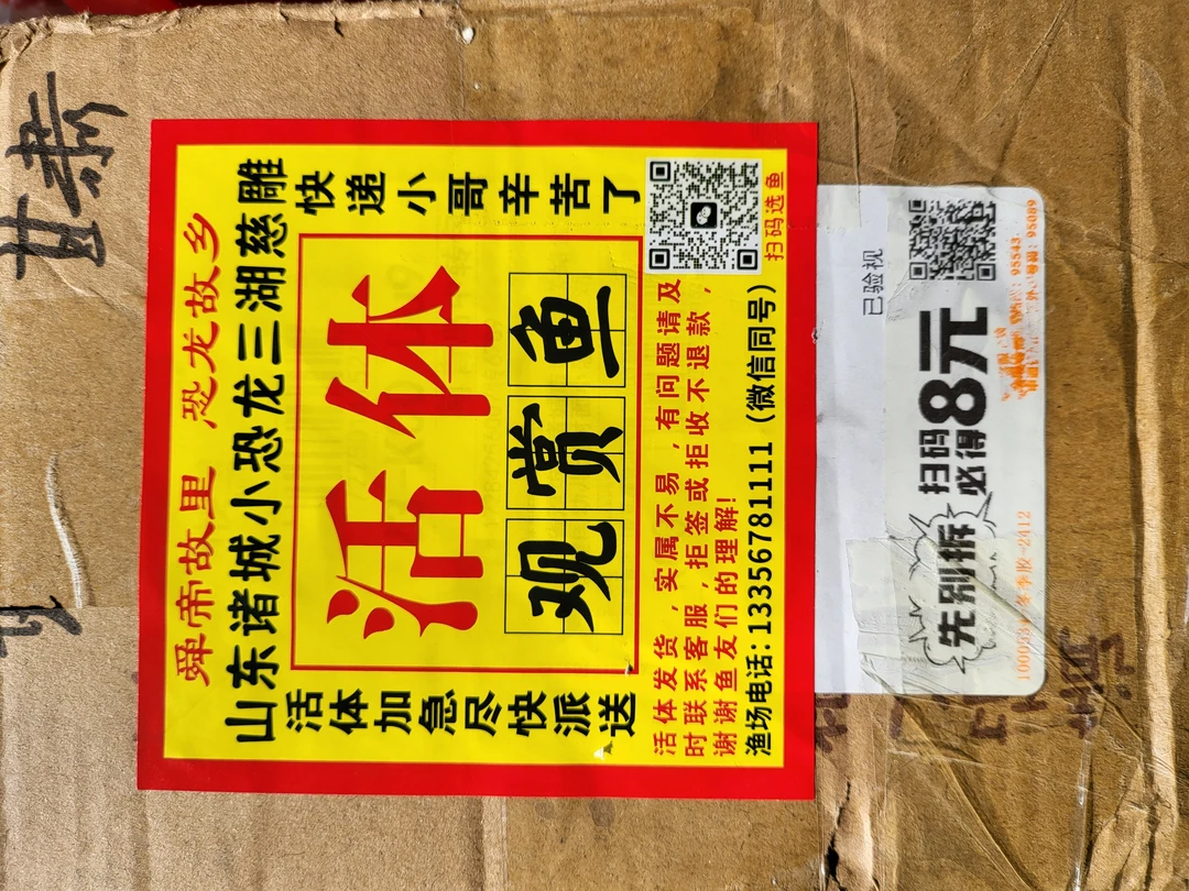 商品鱼粮 拍 单专用1 656号 王子