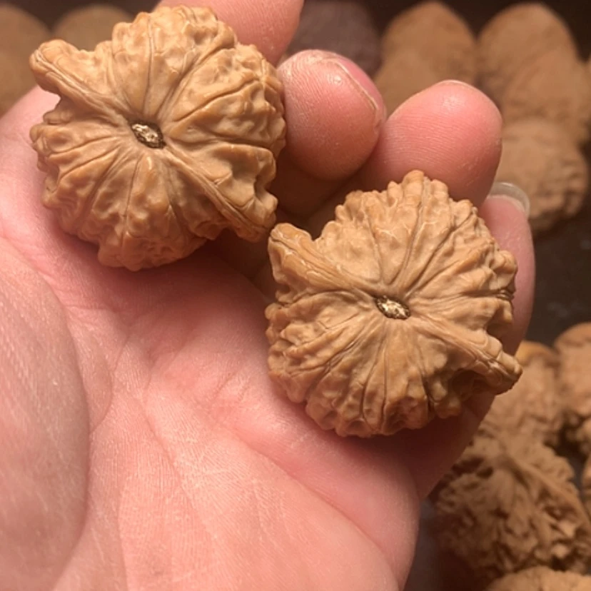 【闪购商品】血麒麟
