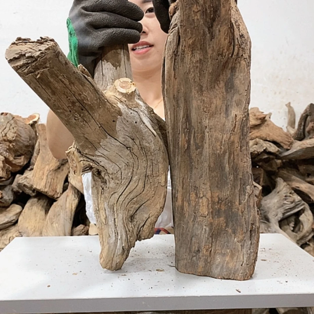 【闪购商品】柏木五*我们都是好孩子