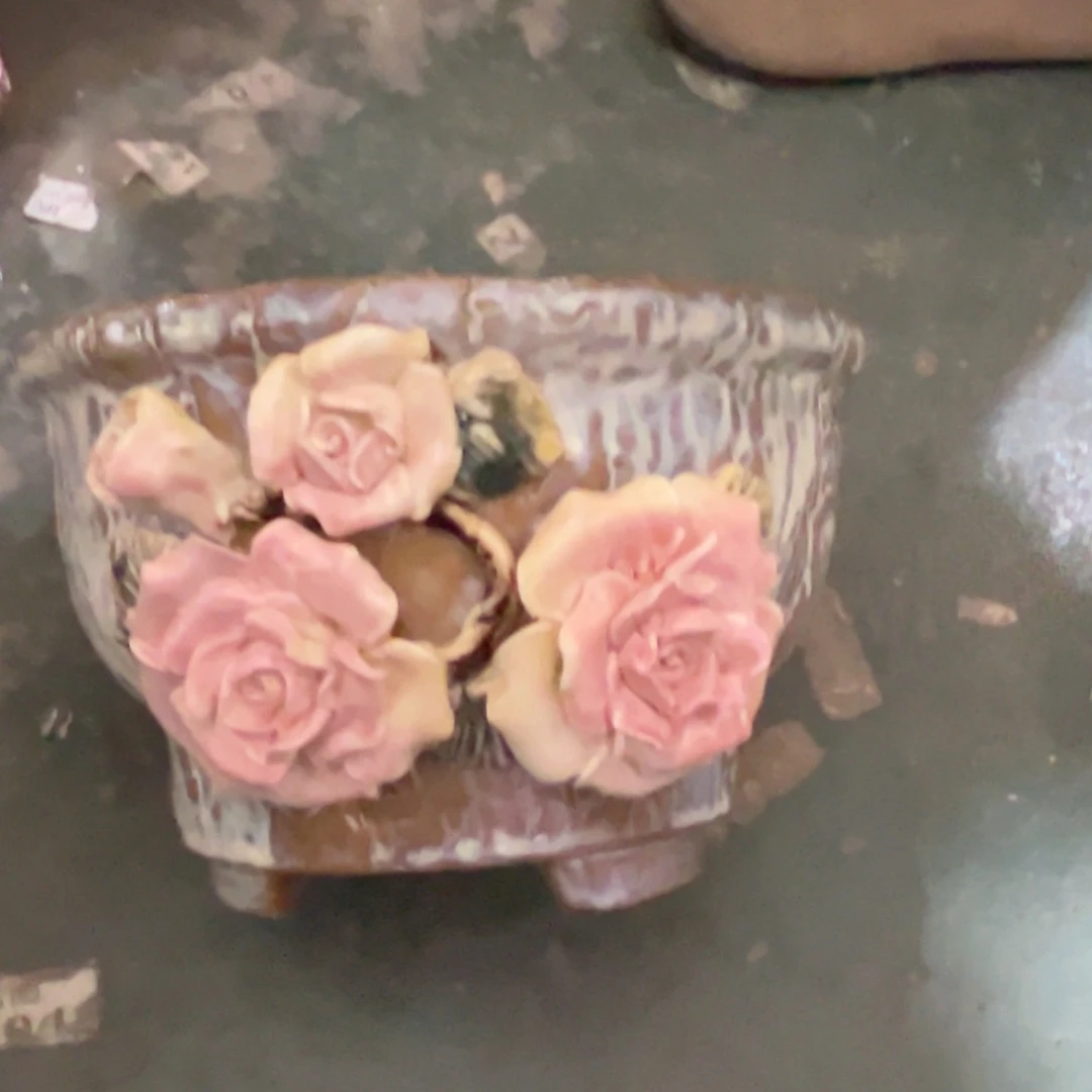 花盆，拍满20发货，退款拉黑