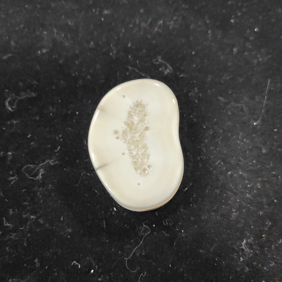 猛犸猛犸虬饼子WT628