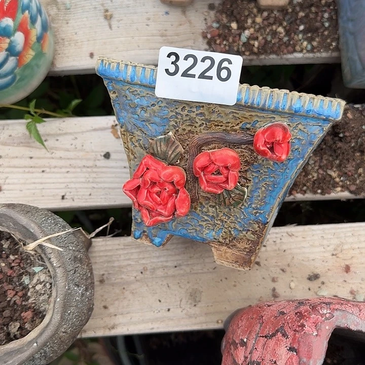 小***宝3226花盆一物一拍