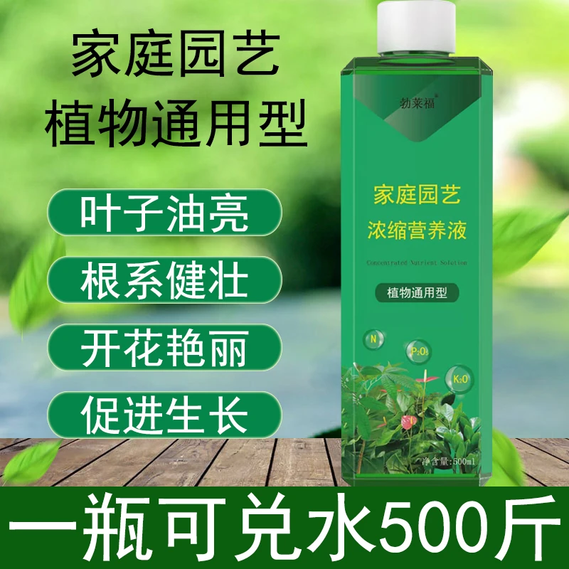 营养液植物通用型富贵竹花草养花金钱树水培绿萝防黄叶增绿增肥