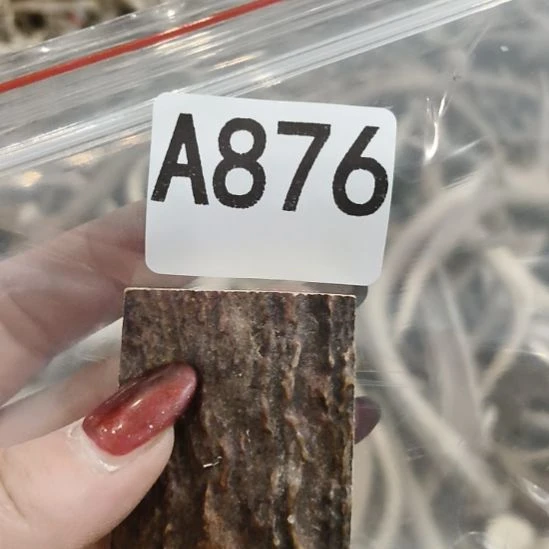 打***大鹿角鹿角鹿角鹿角