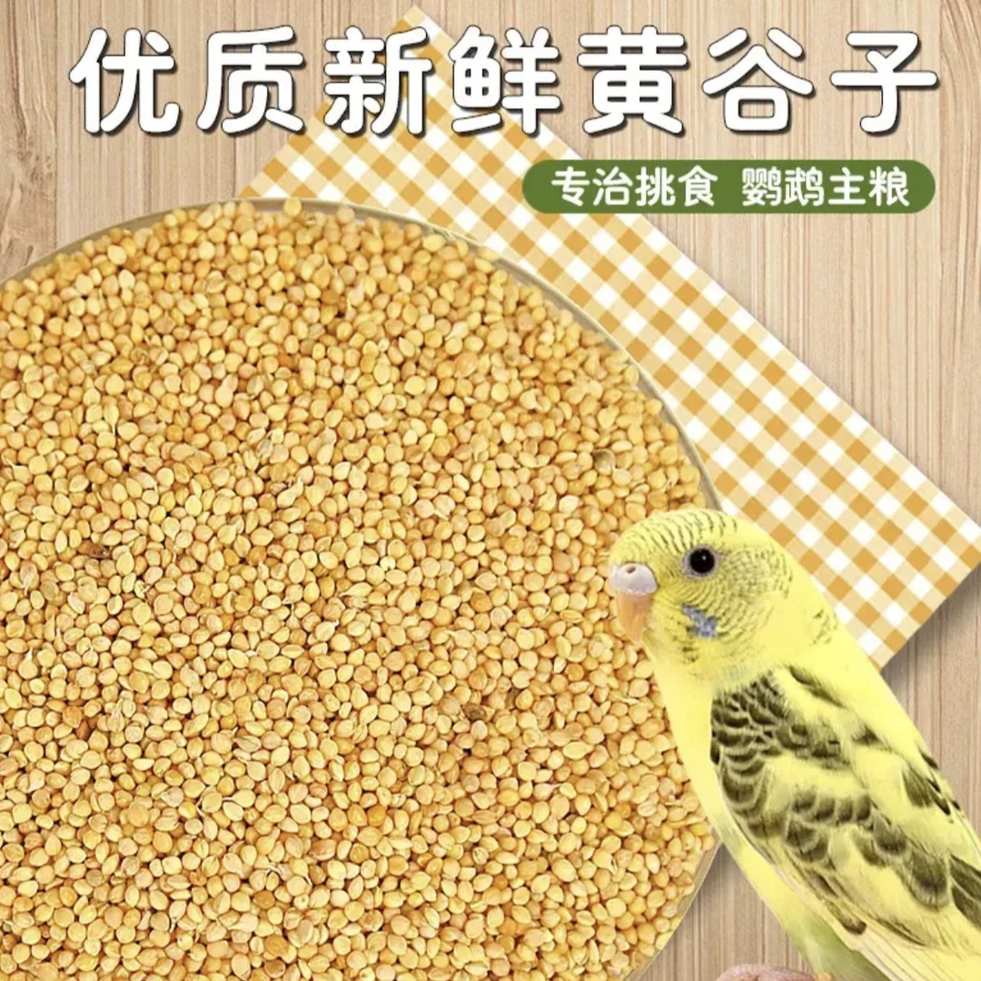 优质带壳黄谷子干净鸟粮谷子小米鹦鹉食粮鹦鹉牡丹中小型鸟食饲料