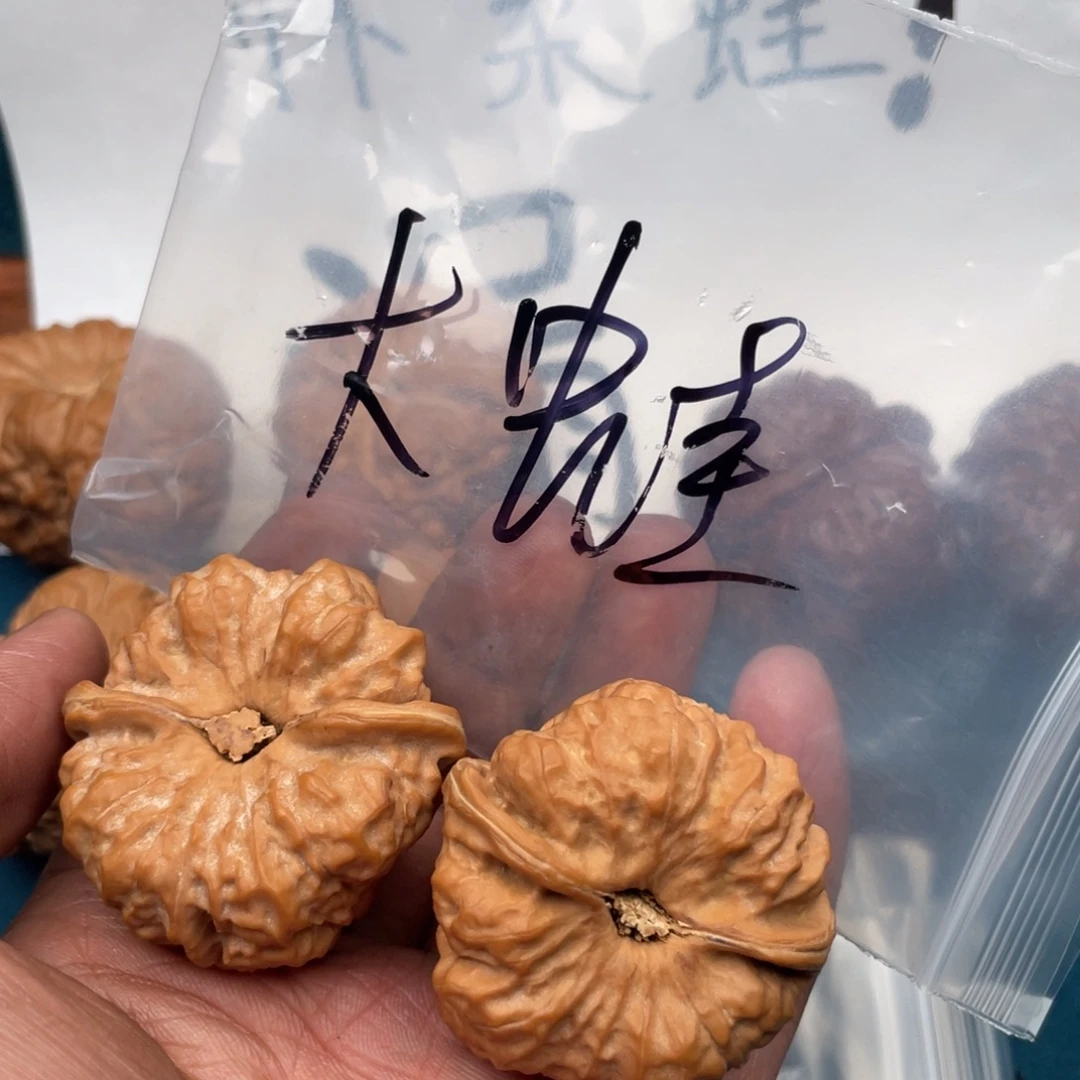 核桃:697497497499745479974