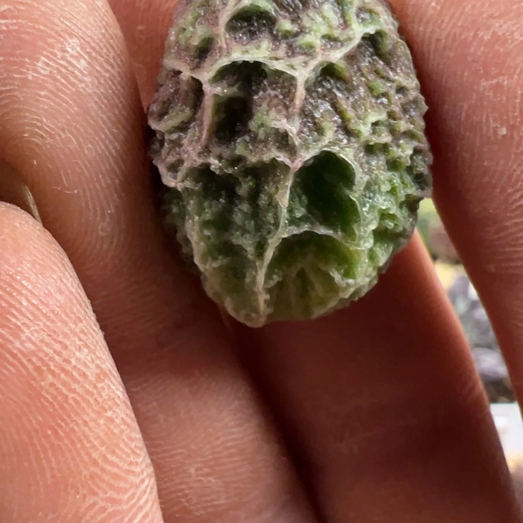 福利盲盒叶片骷髅纹