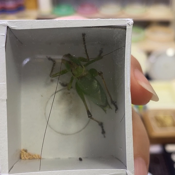 大***风扎嘴1啊啊啊啊啊啊啊啊啊