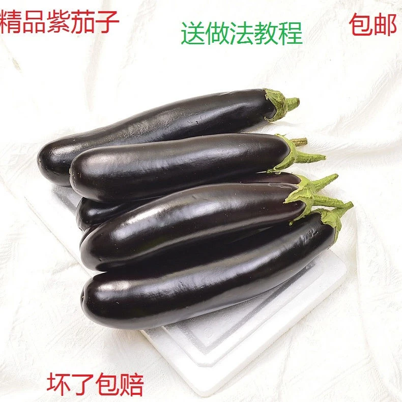 包邮新鲜现摘紫茄子大棚紫皮茄子农家长茄子精品绿色甜茄子三斤装