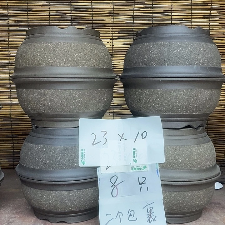 紫砂花盆我在外面