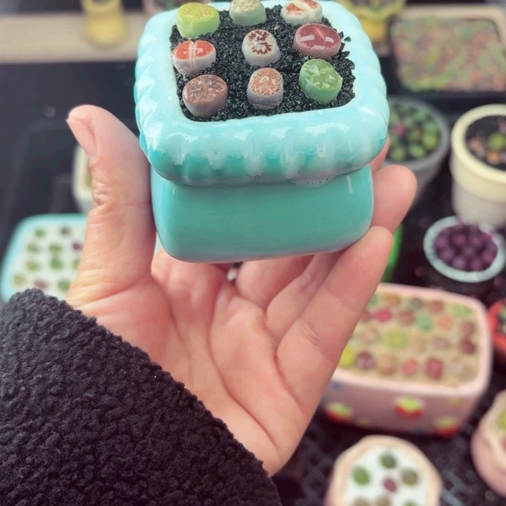 554盆微瑕零下地区记得拍保温箱满18包邮