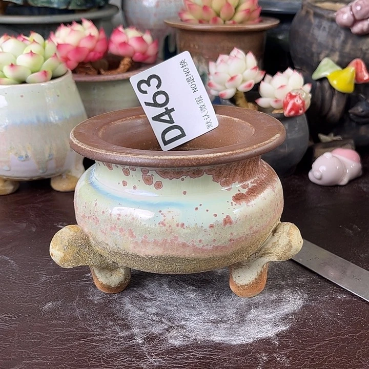 重庆小燕子欢迎大家463