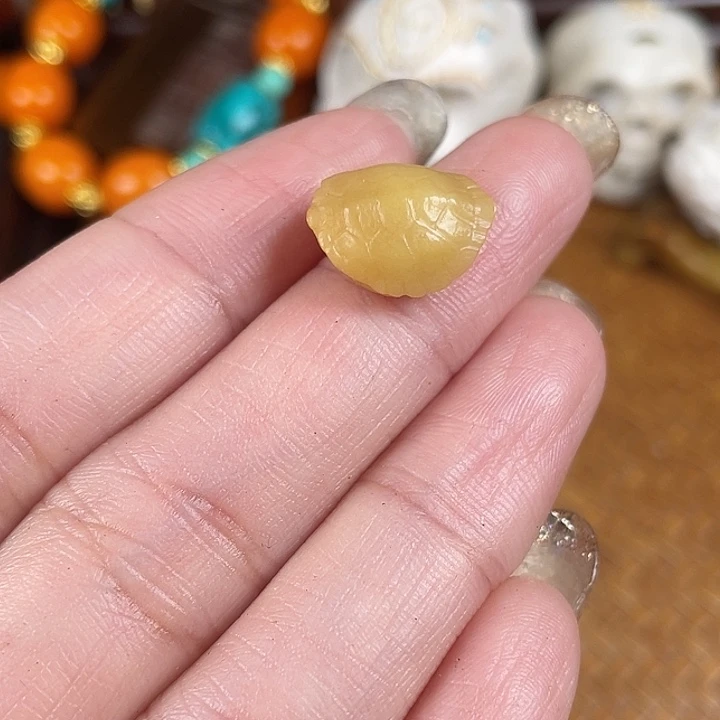 鹿骨其他驼骨驼骨驼骨39