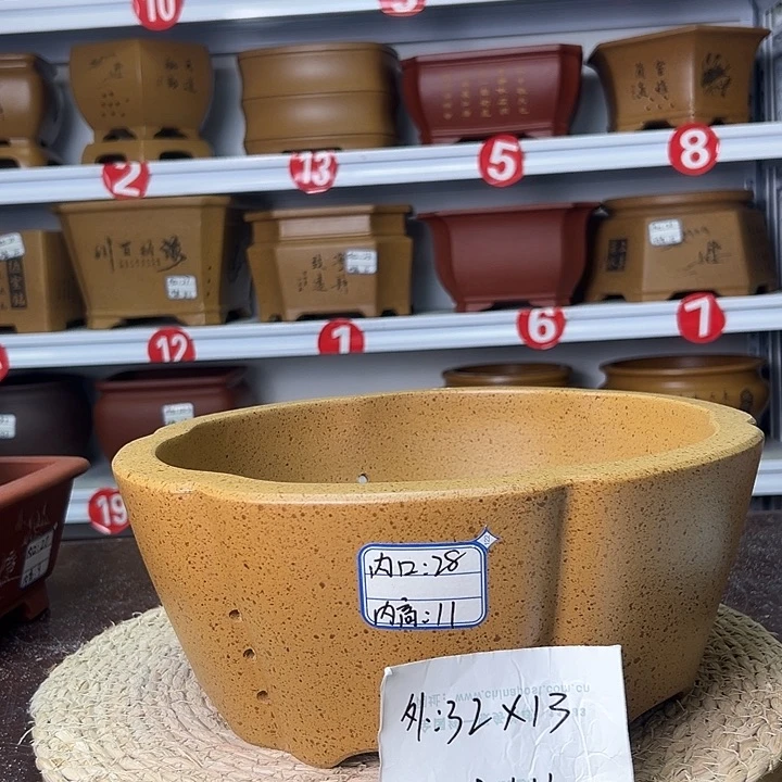 紫砂花盆蛇年大吉