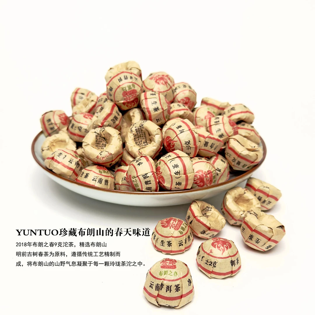 chunpan/春盼布朗之春沱茶普洱生茶古树茶