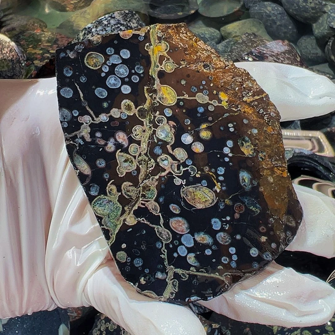 梅花玉鱼缸石茶周边微瑕不退不换