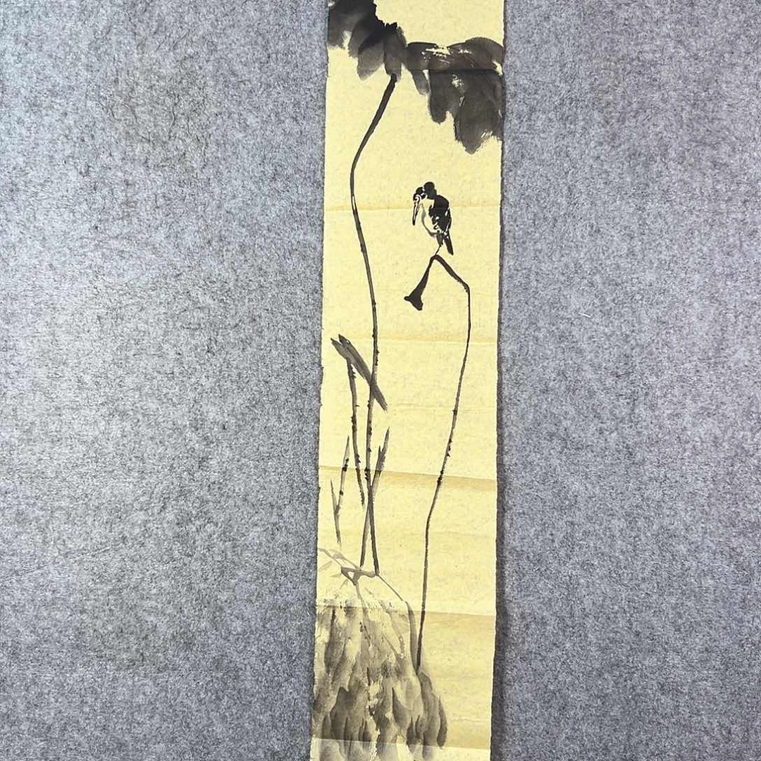 国画291 牡丹花等经济植物资源