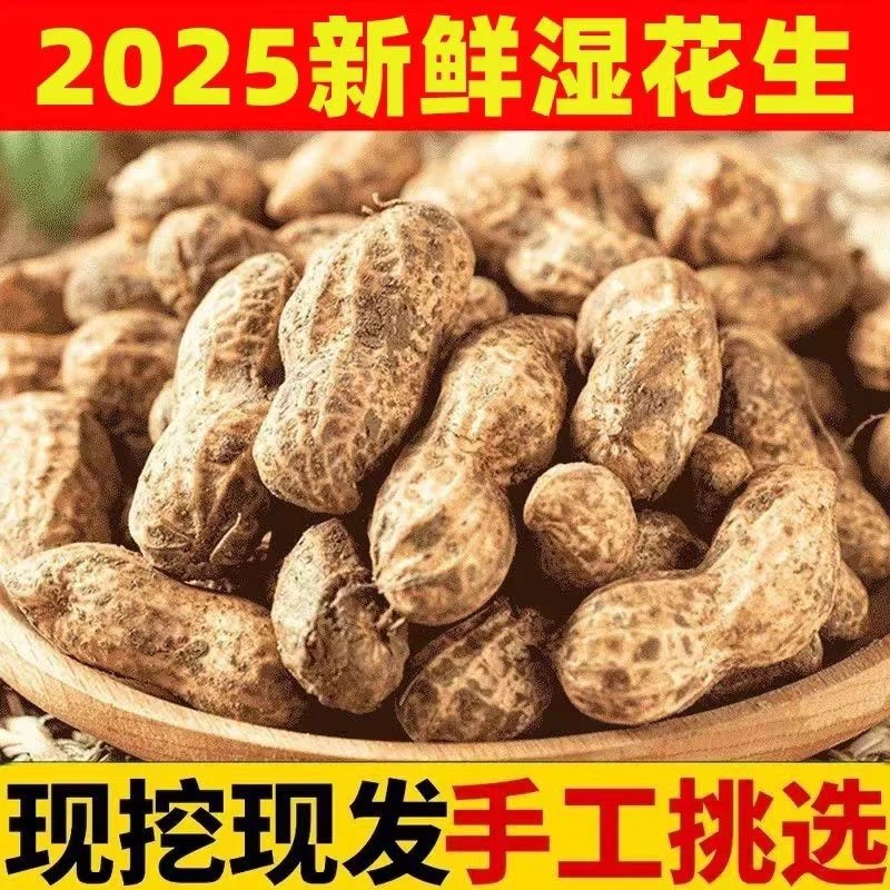 （普通快递）2025年新鲜现挖带壳带泥粉皮花生当季农家自种花生