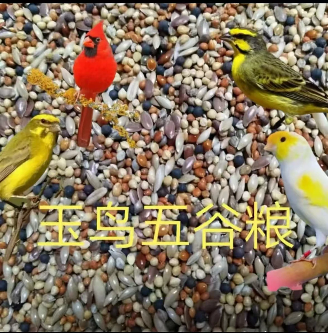 玉鸟丝雀混合粮《赠保健砂》12种新粮科学搭配