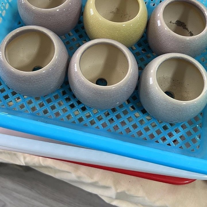 微瑕陶瓷花盆满9.9发