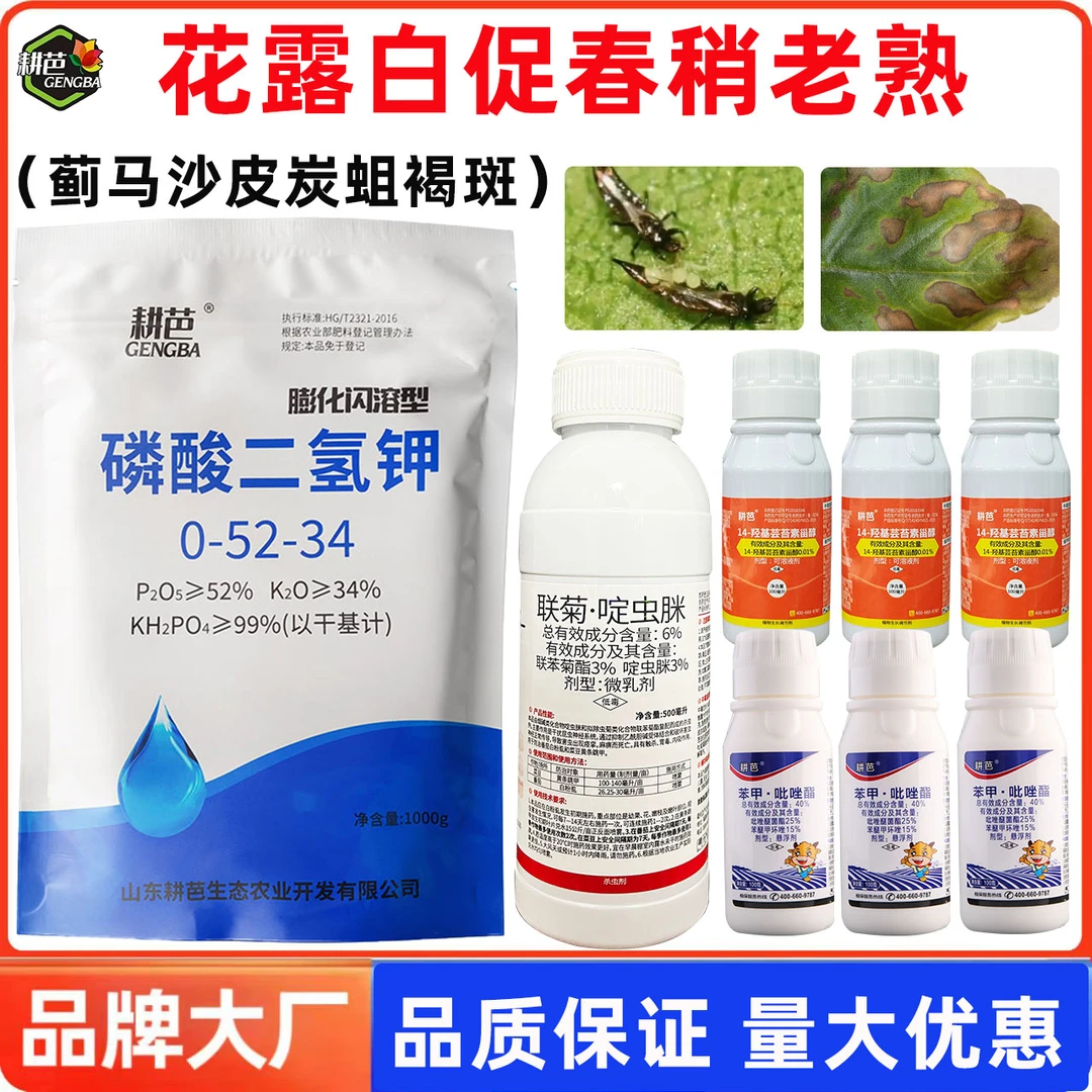 耕芭柑橘花露白套餐蓟马沙皮炭疽褐斑病促春梢老熟磷酸二氢钾联菊