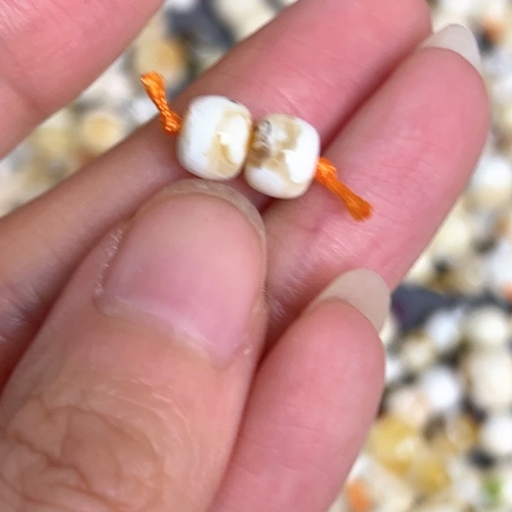 未镶嵌蜜蜡裸石6.8mm一对