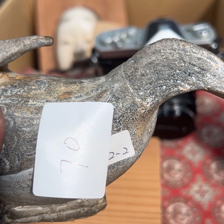 ****弟茶宠今天晚上吃什么呢70